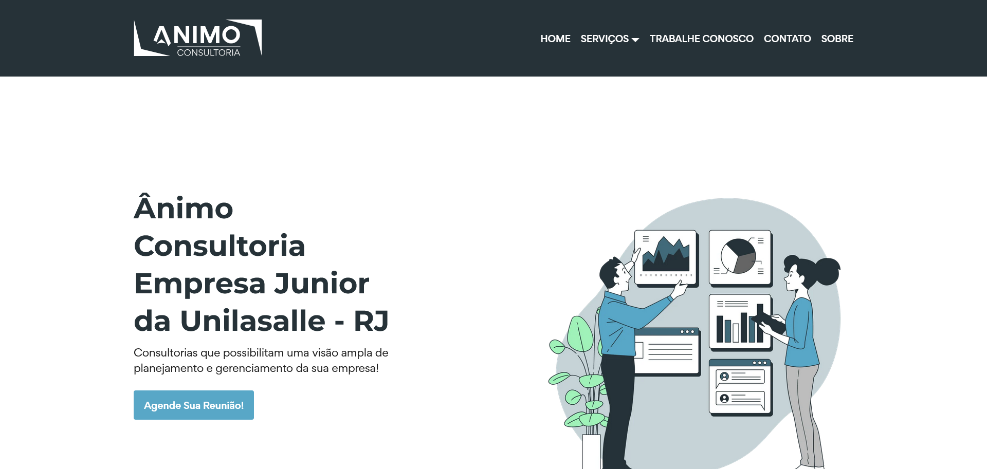 Ânimo Consultoria